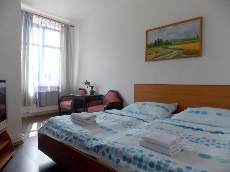 Hotel Britz Velké Hamry エクステリア 写真